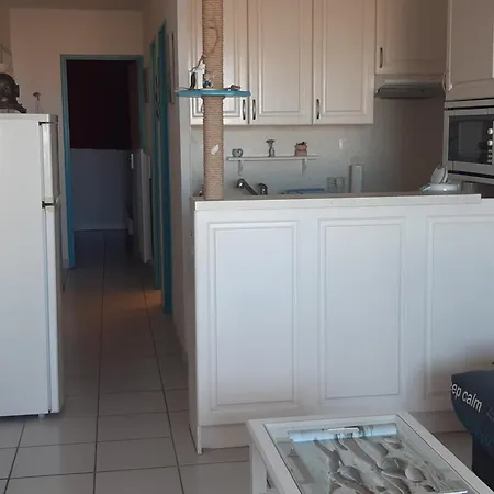 Apartment Coquet T2 A 100m De La Mer, Loggia, Wifi, Parking, Equipe Pour 4 Personnes - Fr-1-798-22 Leucate