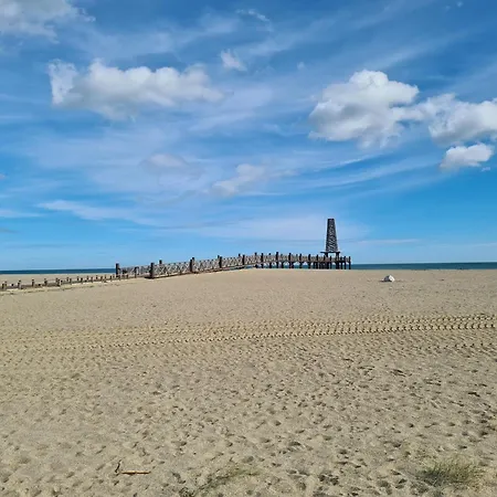 Apartment Coquet T2 A 100m De La Mer, Loggia, Wifi, Parking, Equipe Pour 4 Personnes - Fr-1-798-22 Leucate