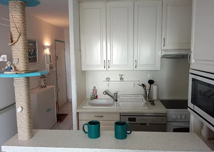 Διαμέρισμα T2 Coquet 40m², Parking Securise, Proche - Fr-1-798-22 *